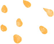 教育直通車｜告別奔波！這個寶藏號碼，讓教育咨詢省心又省力:教育咨詢